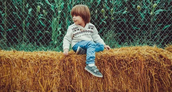 1 вересня: День знань, церковне свято та народні прикмети