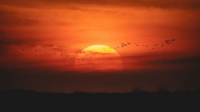 Магнітні бурі у серпні: науковці попереджають про нові спалахи на Сонці